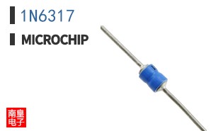 1N6317