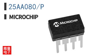 25AA080/P
