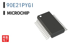 90E21PYGI