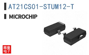 AT21CS01-STUM12-T