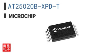 AT25020B-XPD-T