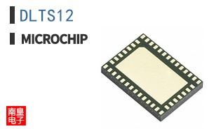 DLTS12