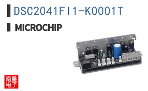 DSC2041FI1-K0001T