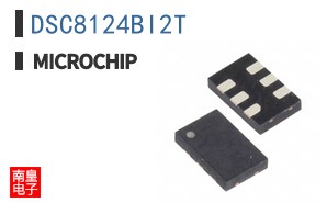 DSC8124BI2T