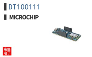 DT100111