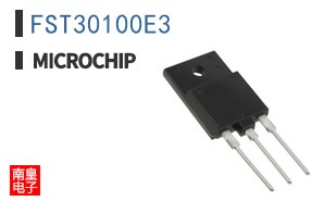 FST30100E3