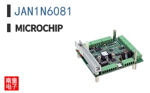 JAN1N6081