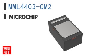 MML4403-GM2