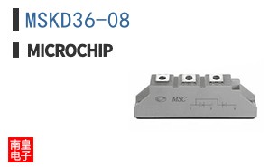 MSKD36-08