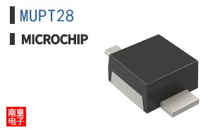 MUPT28