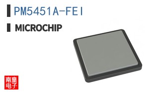PM5451A-FEI