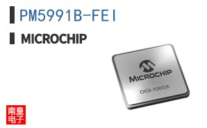 PM5991B-FEI