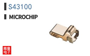 S43100