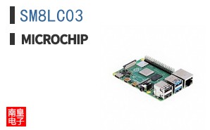 SM8LC03