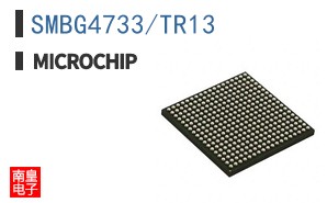 SMBG4733/TR13