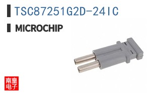 TSC87251G2D-24IC