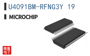 U4091BM-RFNG3Y 19